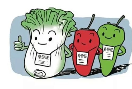 食品销售中的溯源身份证 涨知识，一扫知身世